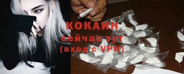 дмт Белокуриха