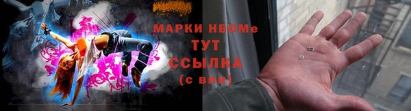 дмт Белокуриха