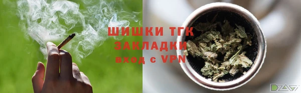 дмт Белокуриха
