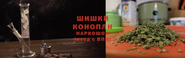 дмт Белокуриха