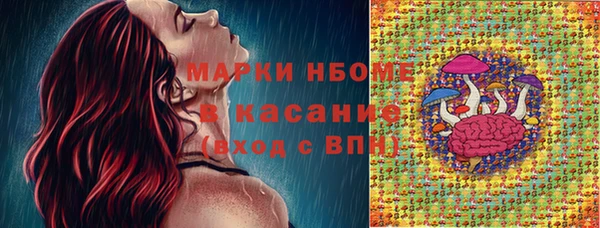 дмт Белокуриха