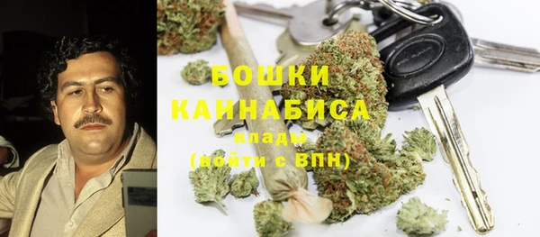 дмт Белокуриха