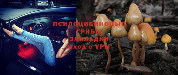 дмт Белокуриха