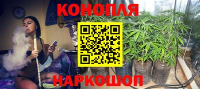 индика Беслан