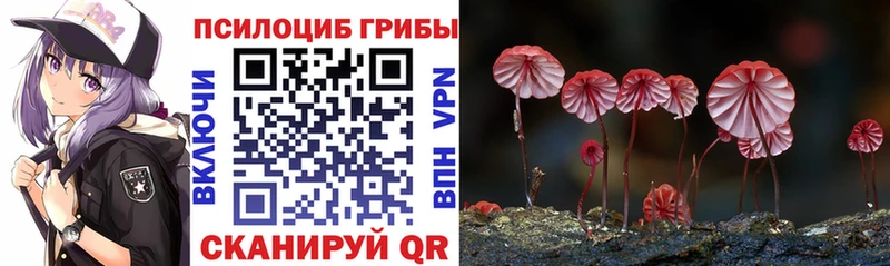 где купить наркоту  Верхний Уфалей  Галлюциногенные грибы Magic Shrooms 